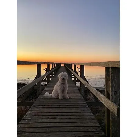 Dom wakacyjny Friesenstuv Modern Retreat